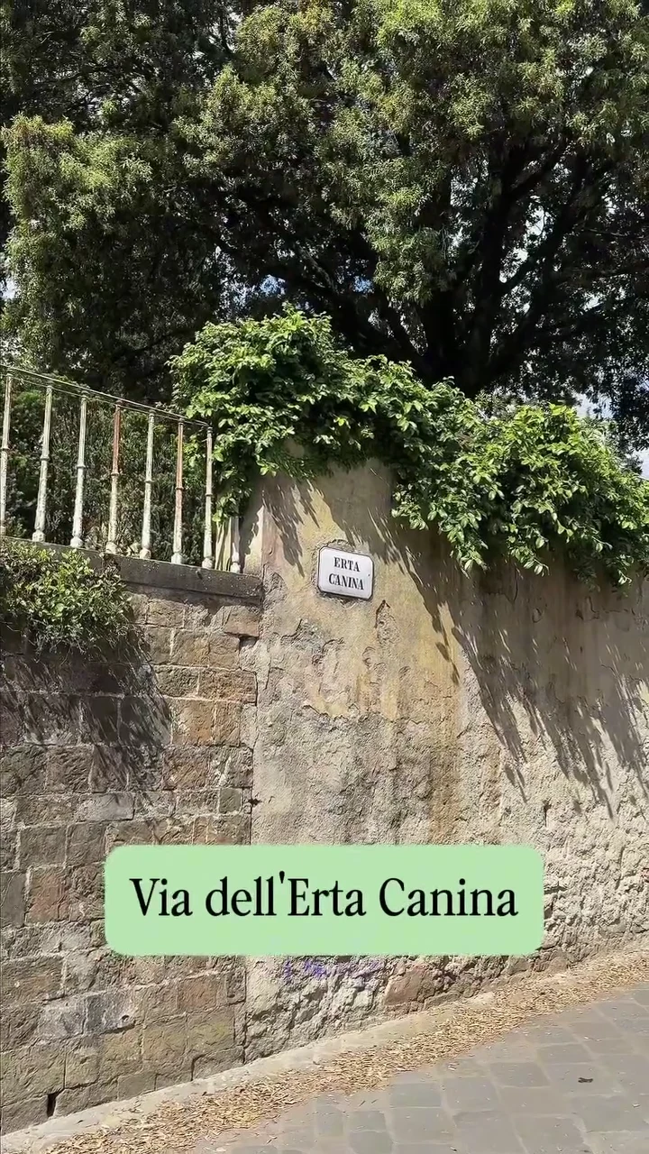 Via dell’Erta Canina. Fotogramma del reel pubblicato.